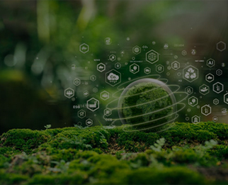 scati sostenibilidad